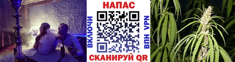 Бошки Шишки Amnesia Новый Оскол
